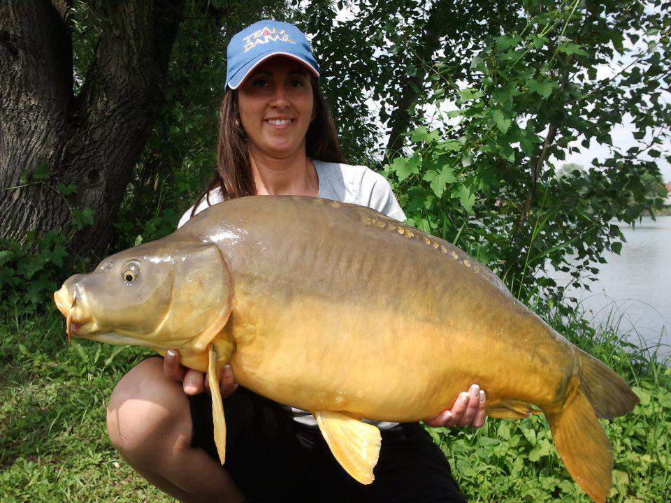 florian tanasa - 14981280660122062925323814419n.jpg